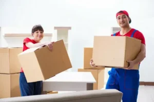 Top Movers and Packers in Dubai