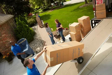 Best Movers and Packers in Downtown Dubai Process Driven Relocation Solutions for High-Rise Urban Living